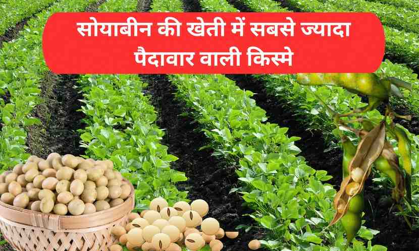 सोयाबीन की खेती का समय
