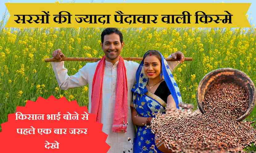 राई सरसों की खेती