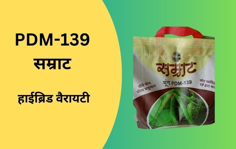 मूंग की खेती की जानकारी