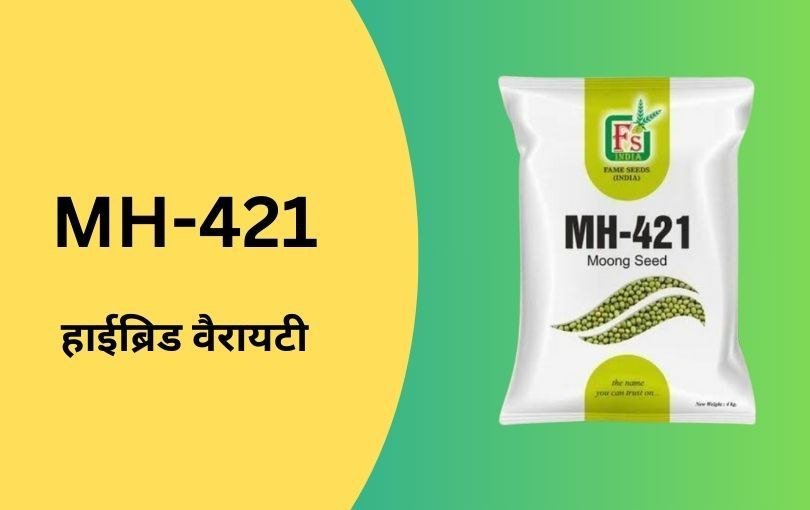 मूंग की खेती की जानकारी