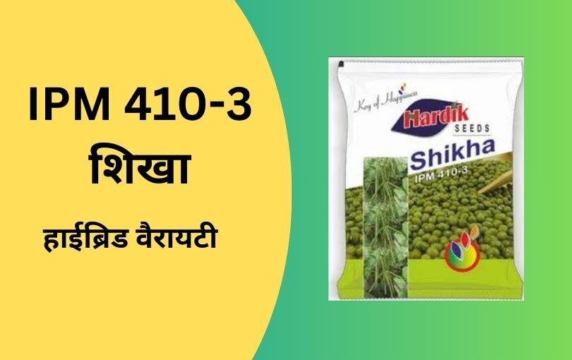 मूंग की खेती की जानकारी