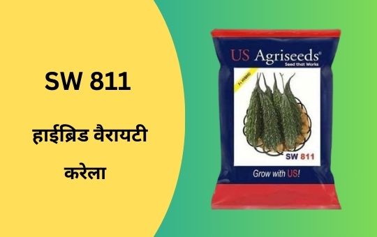 करेले की उन्नत किस्में