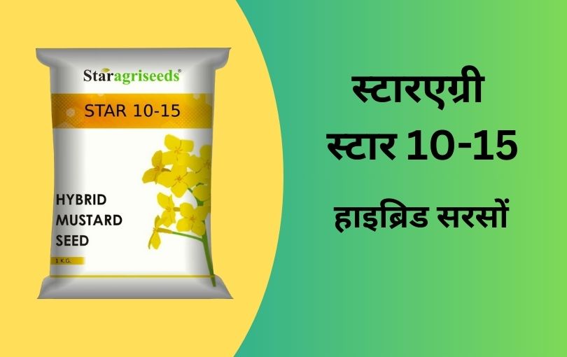 राई सरसों की खेती