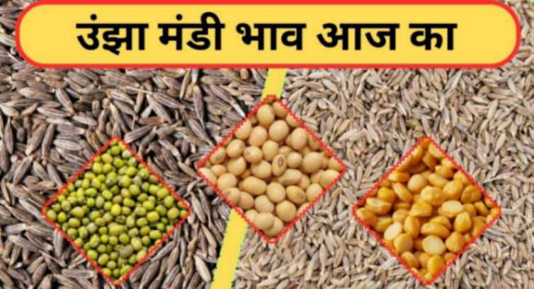 ऊंझा मंडी इसबगोल के आज के भाव