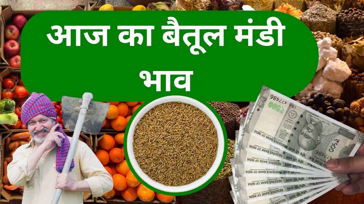 आज का बैतूल मंडी भाव