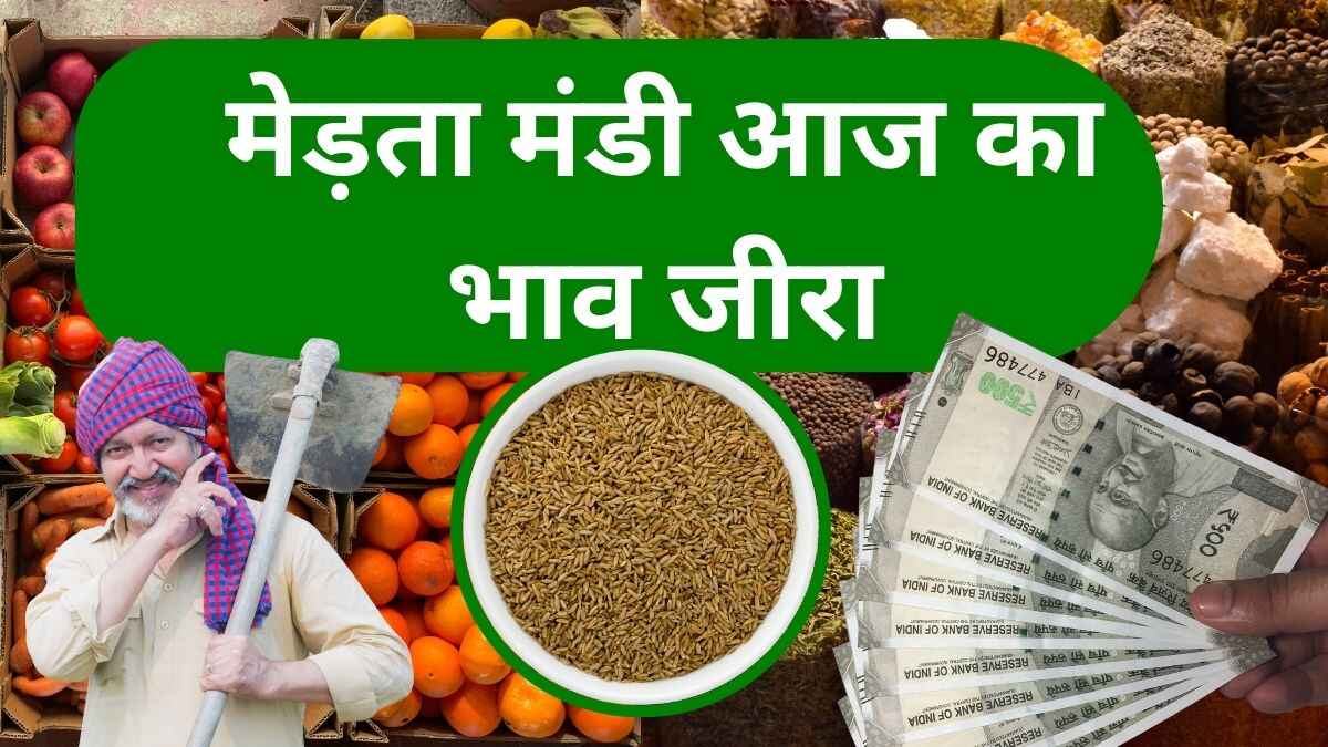 Merta Mandi Bhav Today