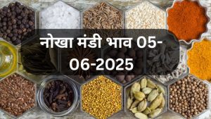 Nokha Mandi Bhav Today